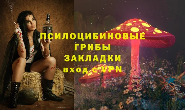 дживик Новокубанск